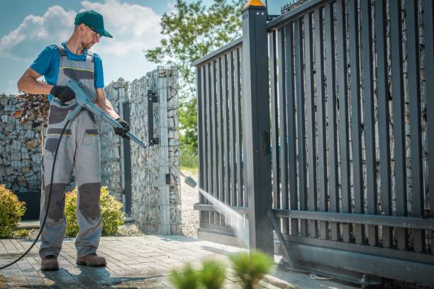 Best Graffiti Removal  in Point Roberts, WA