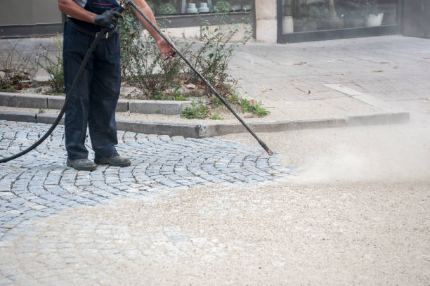 Best Fence Cleaning  in Point Roberts, WA