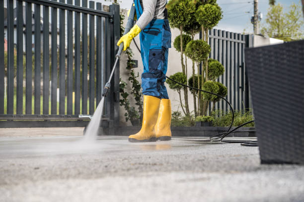 Best Dumpster Area Cleaning  in Point Roberts, WA