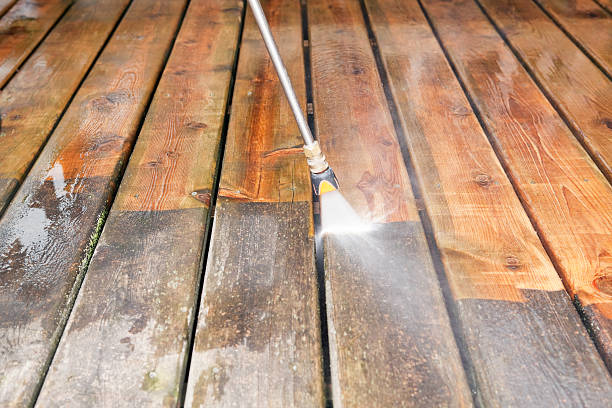 Best Sidewalk and Walkway Cleaning  in Point Roberts, WA